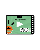 Uitlegvideo's Biologie (VWO)