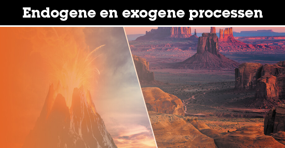 Endogene en exogene processen