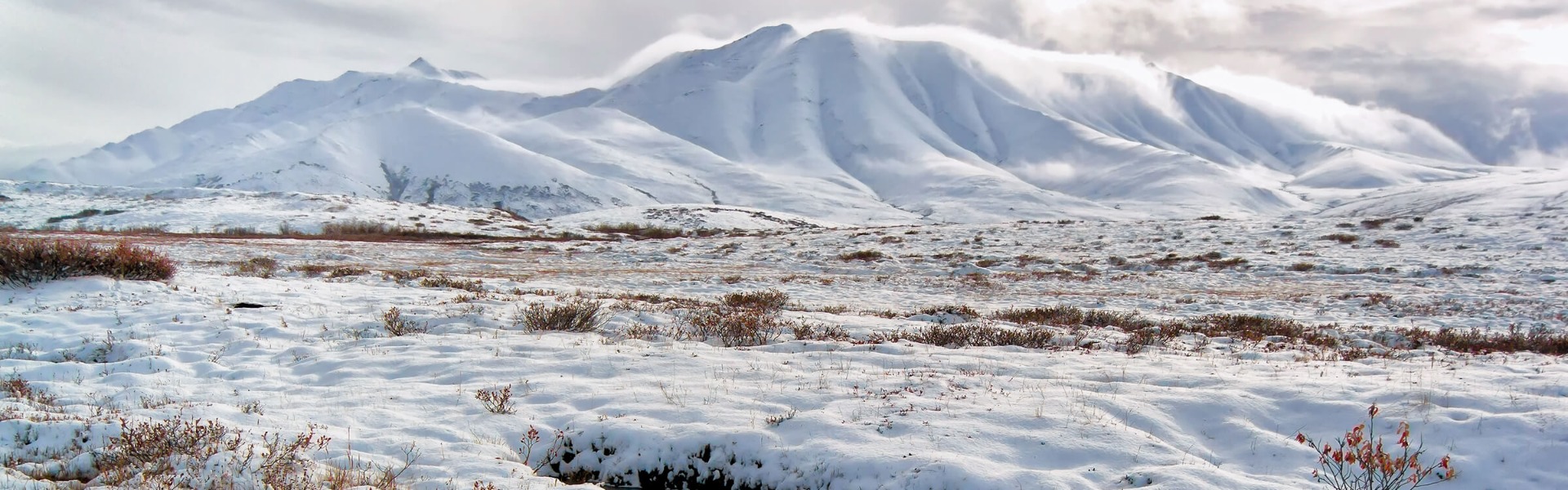 Koud klimaat Koud klimaat