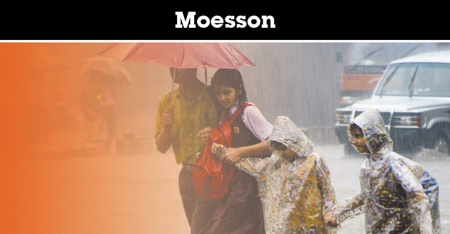 Alles over de moesson