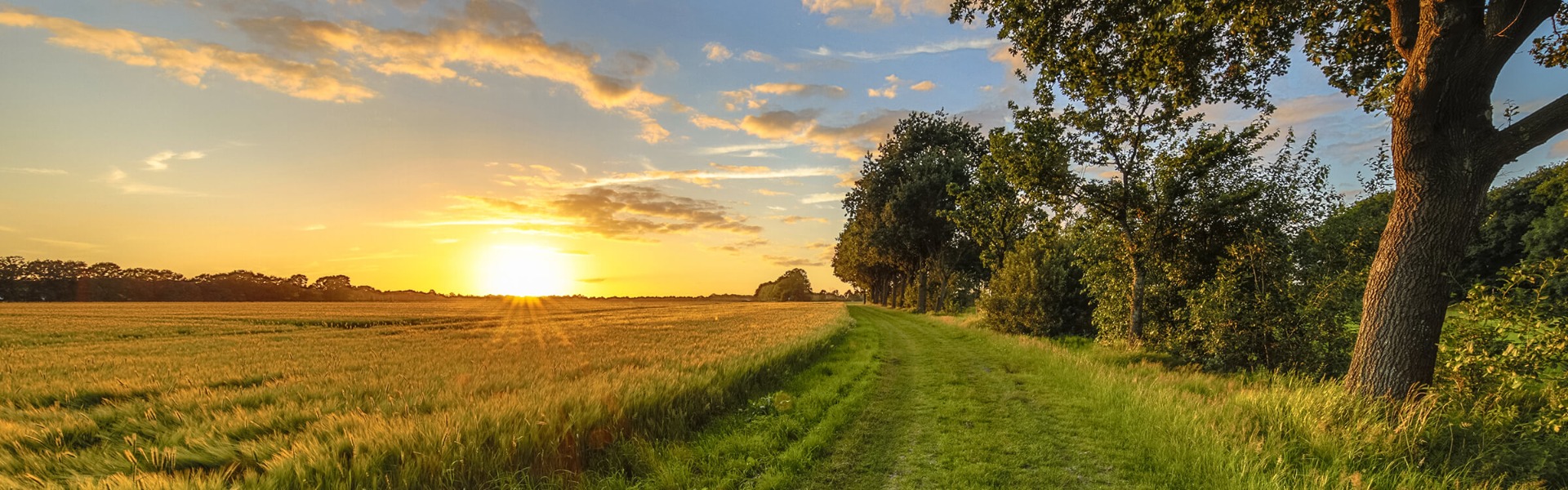 Zeeklimaat Zeeklimaat