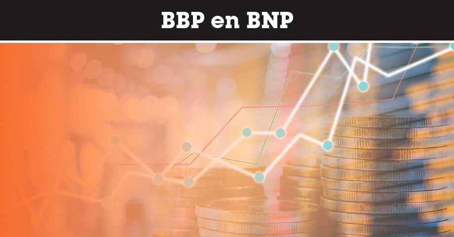 BBP en BNP