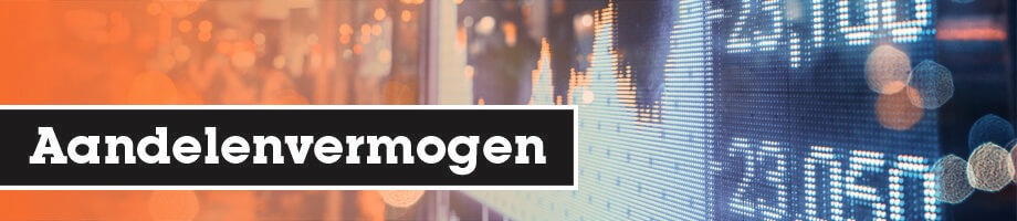 Wat is het maatschappelijk aandelenvermogen