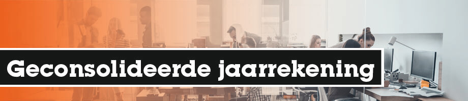 Geconsolideerde jaarrekening