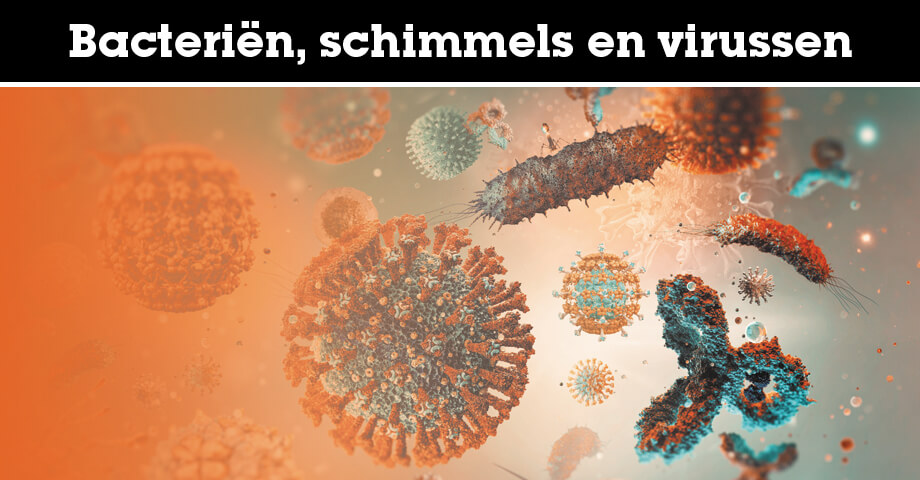Bacteriën, schimmels en virussen: wat is het verschil?