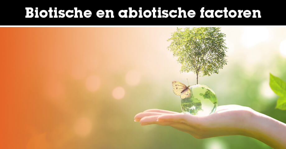 Biotische en abiotische factoren