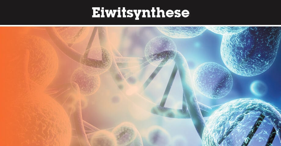 Eiwitsynthese