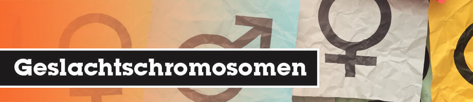 Geslachtschromosomen Geslachtschromosomen