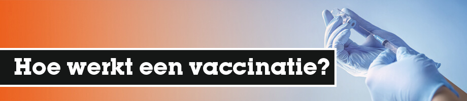 Hoe werkt een vaccinatie?