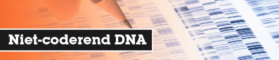 Niet-coderend DNA Niet-coderend DNA