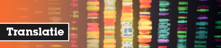 Translatie Translatie