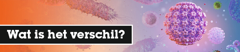 Wat is het verschil?