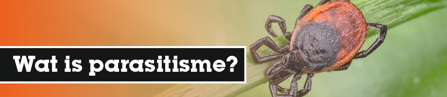 Wat is parasitisme?