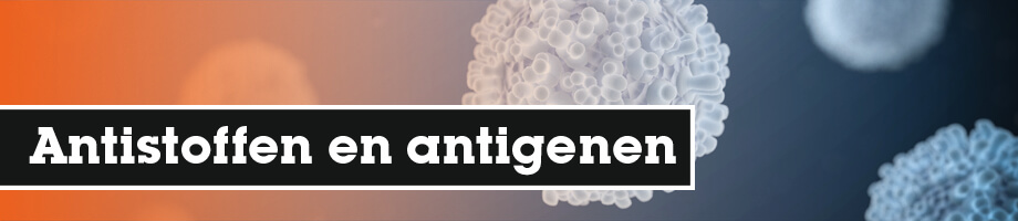 Wat zijn antistoffen en antigenen?