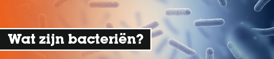 Wat zijn bacteriën?