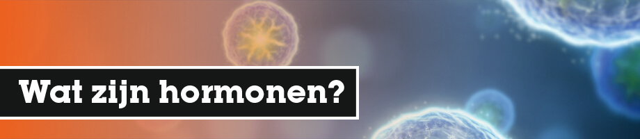 Wat zijn hormonen?