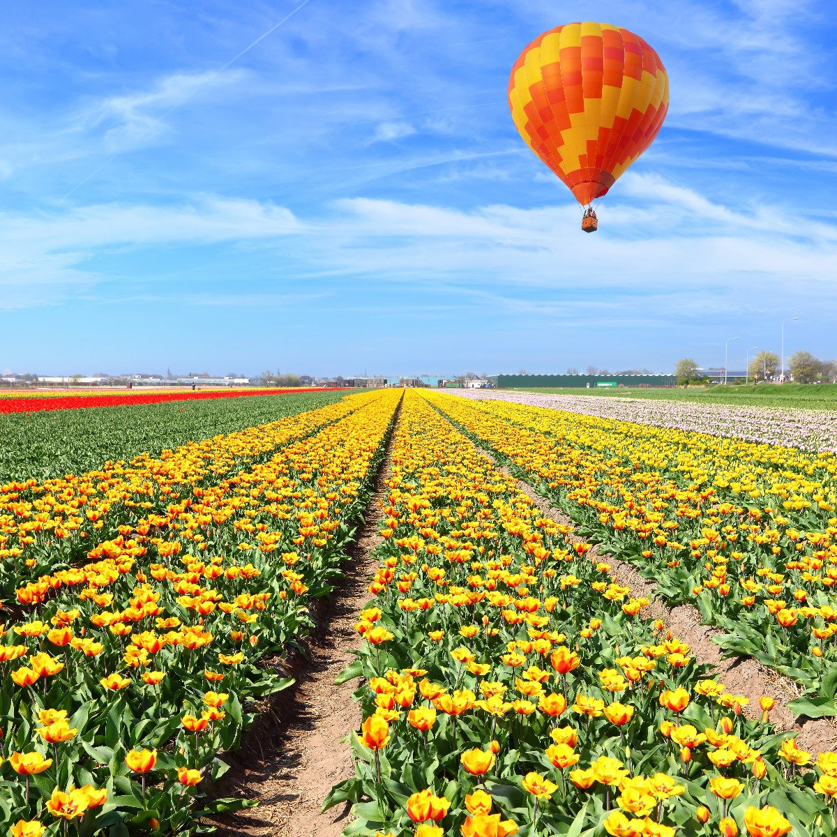 Luchtballonvaart als examencadeautip 2021