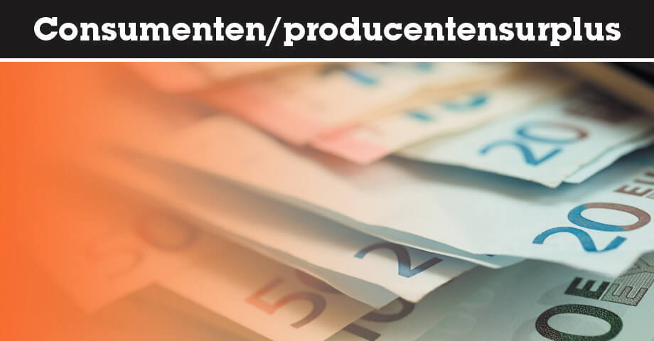 Consumentensurplus en producentensurplus