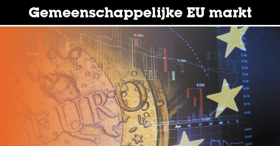 Gemeenschappelijke EU markt