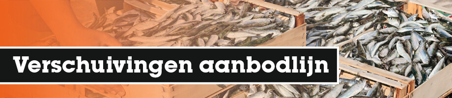 Verschil tussen verschuiving langs de aanbodlijn en verschuiving van de aanbodlijn