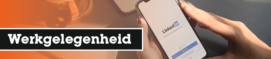 Wat heeft invloed op de werkgelegenheid?