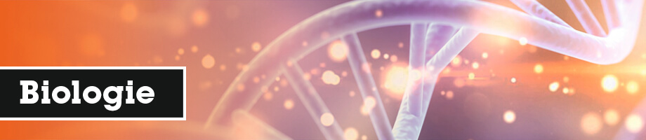 De beste YouTube docenten voor Biologie De beste YouTube docenten voor Biologie