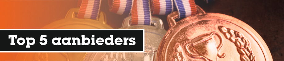 Top 5 aanbieders van bijles in Nederland