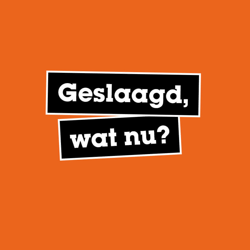 Geslaagd_wat_nu-knop