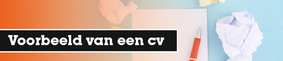 Voorbeeld van een cv