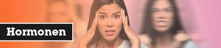 Productie van hormonen Productie van hormonen