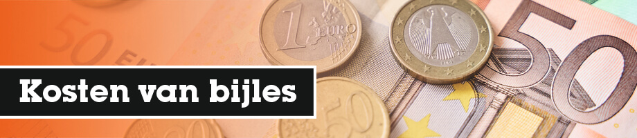 Wat zijn de kosten van bijles? Wat zijn de kosten van bijles?