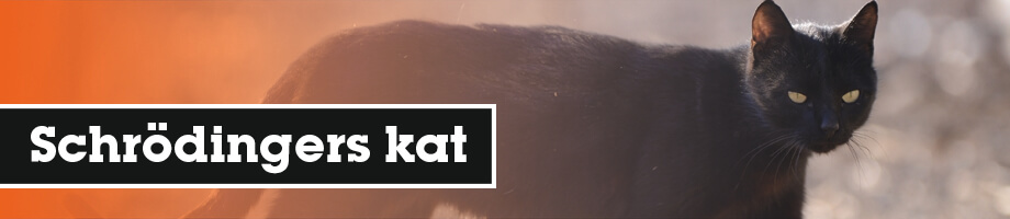 Wat is Schrodingers kat?