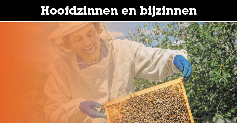 Hoofdzinnen en bijzinnen