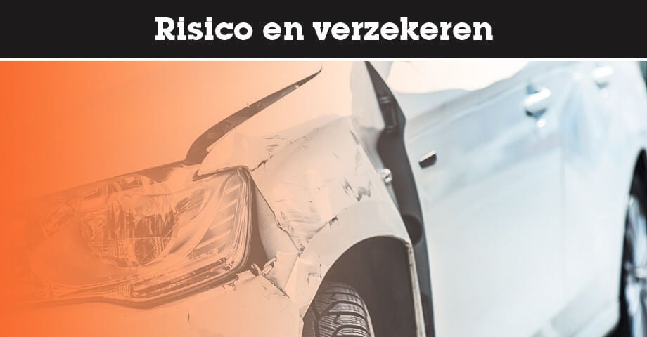 Risico en verzekeren