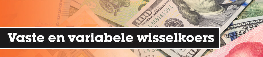 Vaste en variabele wisselkoers Vaste en variabele wisselkoers
