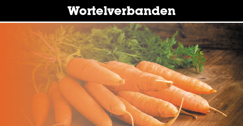 Wortelverbanden