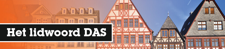 Wanneer gebruik je het lidwoord das?