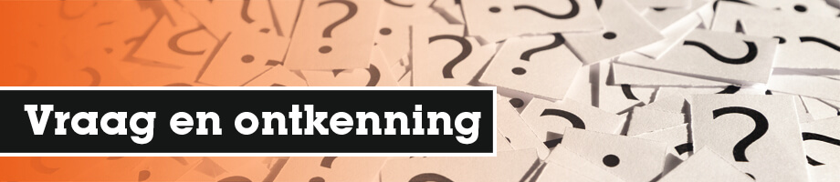 Hoe werken vraagstellingen en ontkenningen in de past simple?