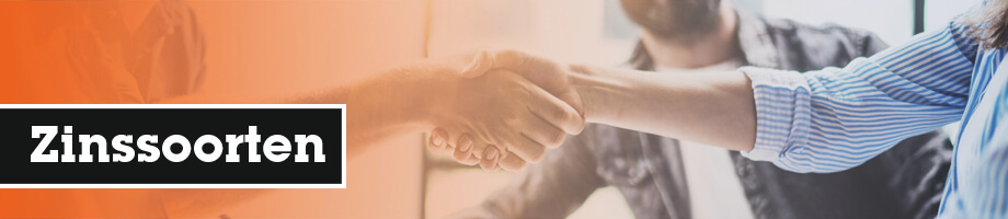 Welke soorten zinnen zijn er in de past continuous?