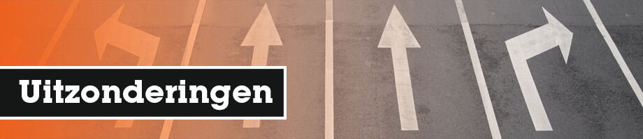 Zijn er uitzonderingen bij de past continuous?