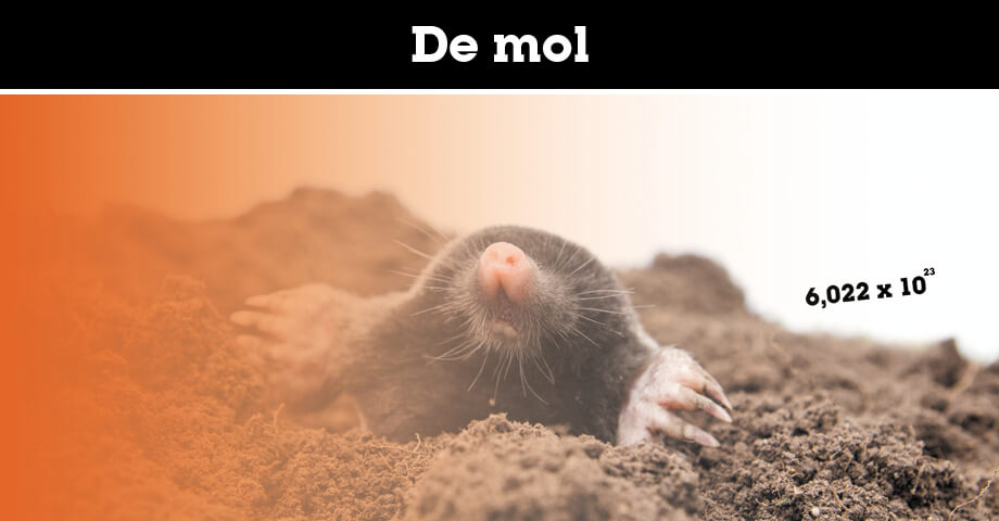 De mol