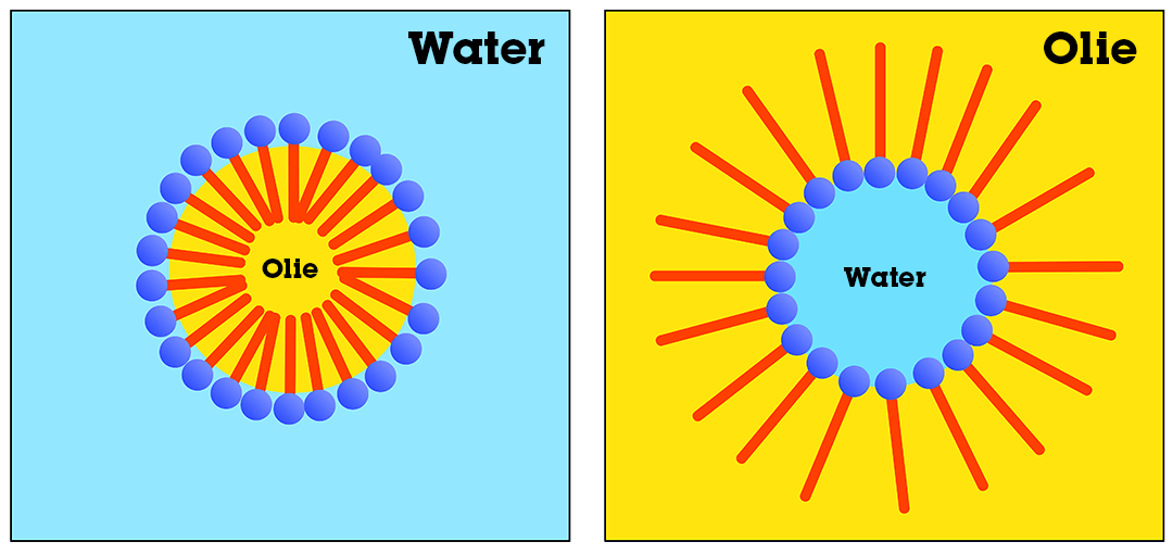 Olie-in-water oplossing en water-in-olie oplossing Olie-in-water oplossing en water-in-olie oplossing