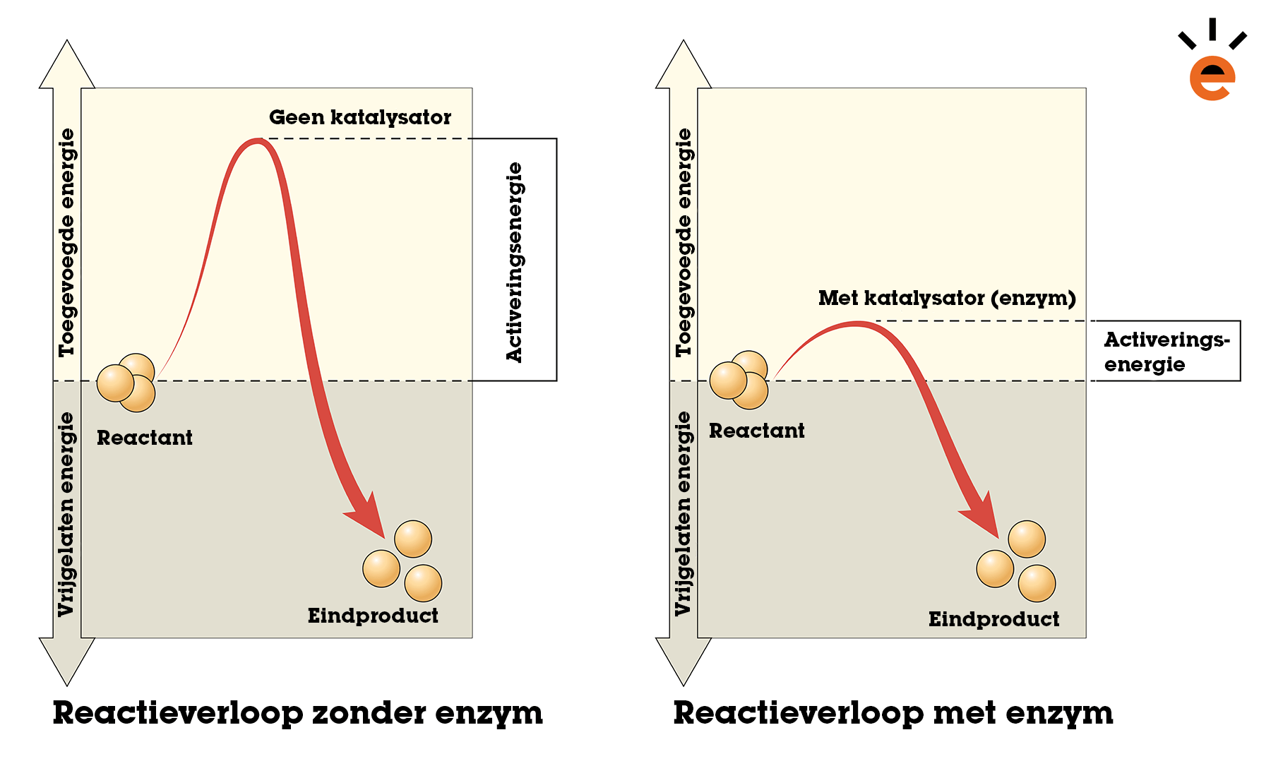 Reacties met en zonder katalysator